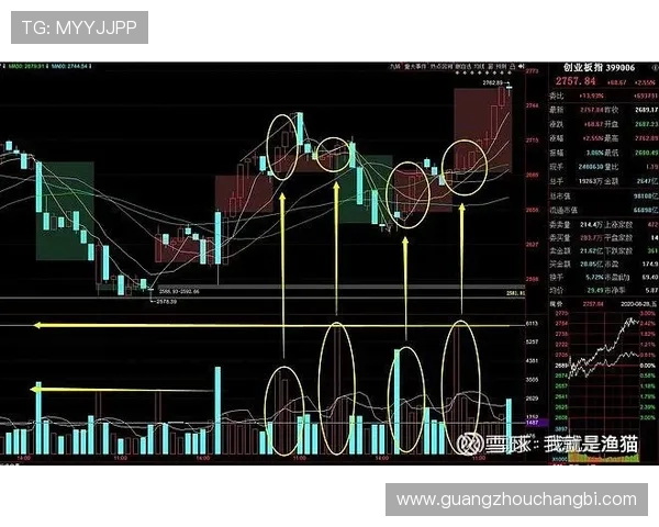 赛后复盘成都篮球队与南京篮球队的状态分析与表现总结